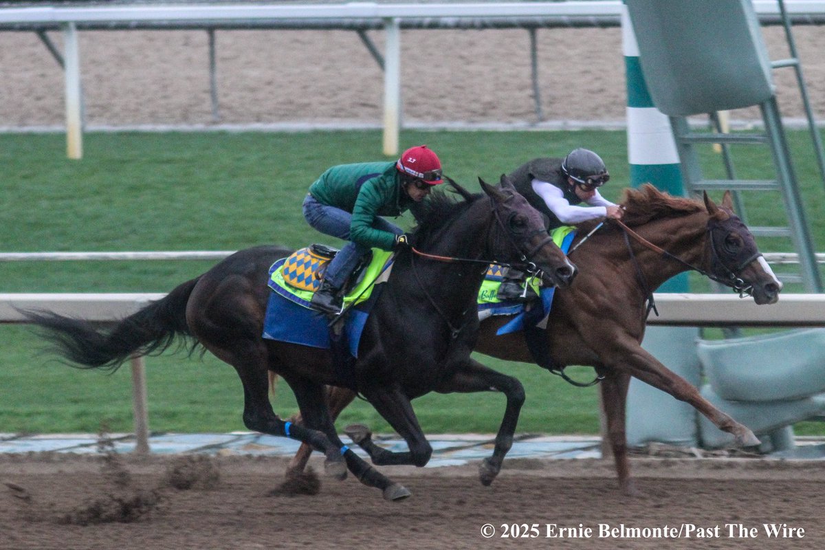 Ernie Belmonte (@erniebphoto93) on Twitter photo Nevada Beach (outside, 6F: 1:11.20 H) working this morning in company with Toughness (inside, 5F: 59.00 H). Jockeys <a href="/JJHernandezS19/">Juan jose hernandez</a> aboard Nevada Beach and <a href="/DraydenV/">Drayden VanDyke</a> aboard Toughness. Nevada Beach (outside, 6F: 1:11.20 H) working this morning in company with Toughness (inside, 5F: 59.00 H). Jockeys <a href="/JJHernandezS19/">Juan jose hernandez</a> aboard Nevada Beach and <a href="/DraydenV/">Drayden VanDyke</a> aboard Toughness.