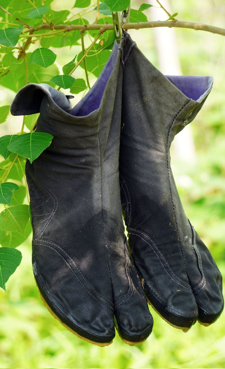 崃休 (@laixiu6) on Twitter photo 