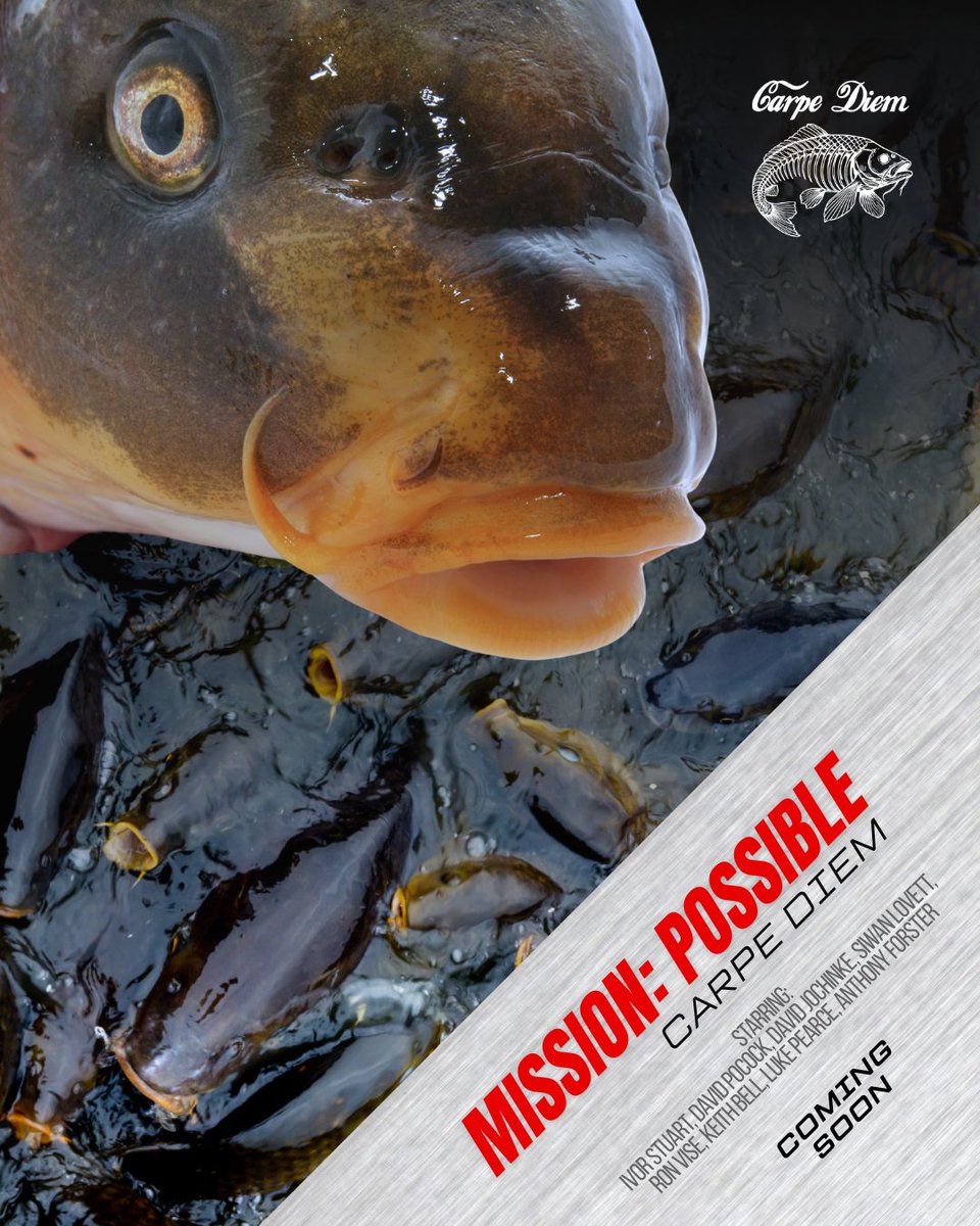 Mission possible – coming soon!
Check out the trailer for our upcoming short film ‘Carpe Diem: Sieze the Day’
youtu.be/nNvRfKO2jME 

It features an all-star cast to help save our rivers from the evil carp menace, as we await a decision from the Federal Government.