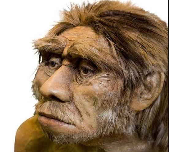 BharatMeitei's tweet photo. @chinkukimizogin @manipur_police @govt_of_manipur #kuki last option 🤣🤣🤣 live like early man and will returned where it belongs ie Myanmar jungle.
Welcome back #earlyman 😁😁 https://t.co/DyrbNw7LP5