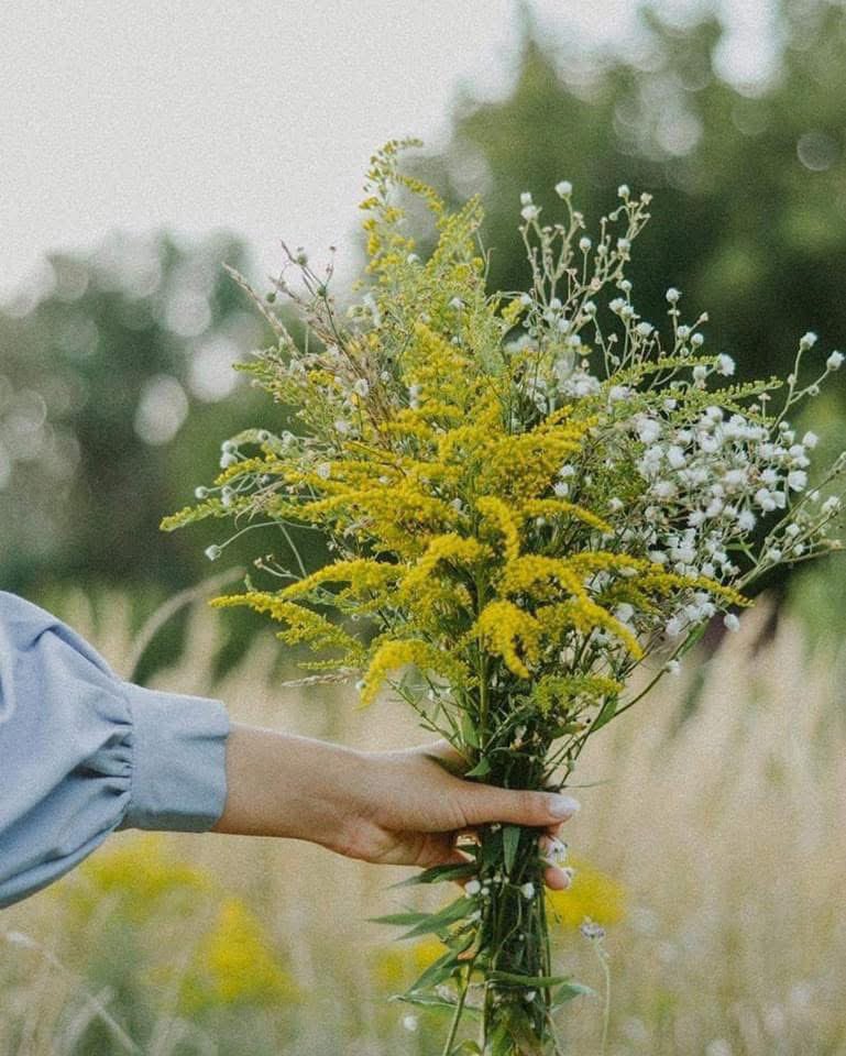 تـٌـٌٌـرياقٌـ,ـ tweet media