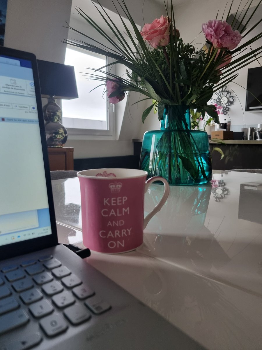 havraiseSG's tweet photo. #télétravail = #deplacementpro en vue https://t.co/QfnbpAxre1