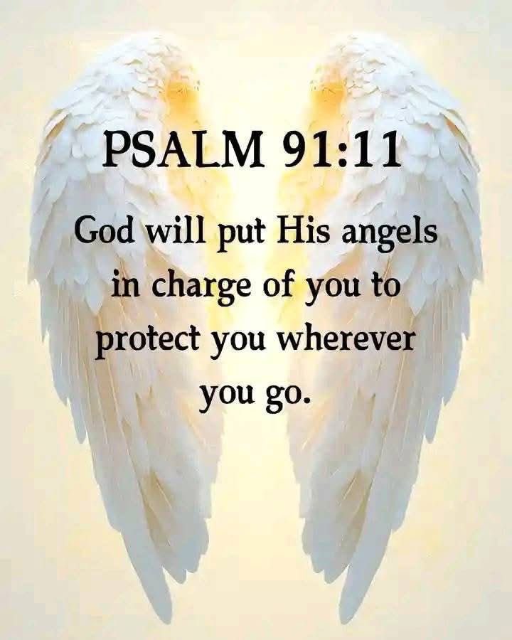 Bible 365 (@bible365_) on Twitter photo 