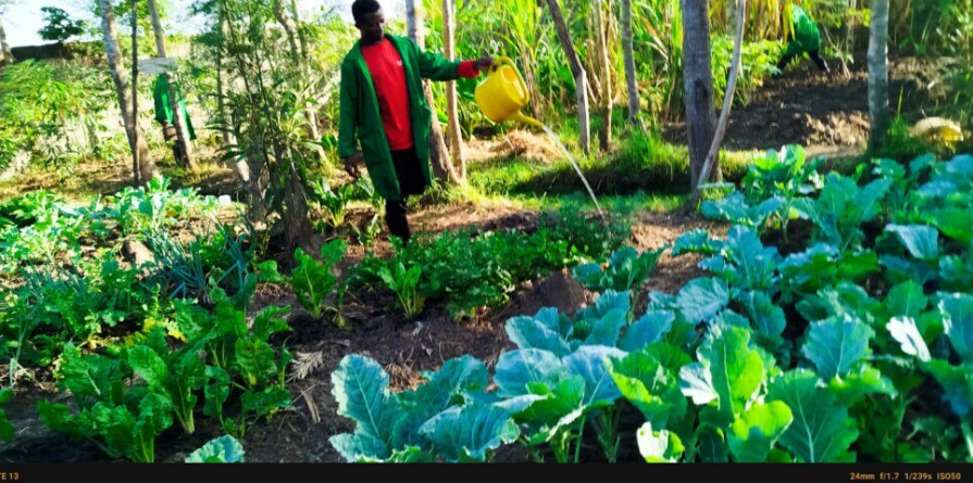 🧑‍🌾🌍 Disability is not a limitation — it’s a strength in agroecology!

A powerful blog by a KHEA Multiplier from 🇰🇪 shows how inclusive farming is feeding the future.

Read here 👉 kcoa-africa.org/disability-is-…

#DisabilityIsAbility #Agroecology #Inclusion #KHEA #KCOA #OrganicFarming