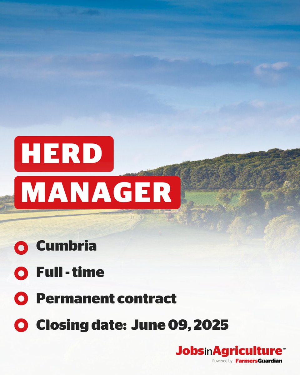 Jobs_In_Ag's tweet photo. On the hunt for your next role in agriculture? 👀

Fresh opportunities added every week so don’t miss out

Browse new jobs and sign up for alerts to get roles sent straight to your inbox ⬇️
https://t.co/7AgJoW9Zmm

#JobsInAgriculture #CareersInAg #farming #jobs https://t.co/Ch9ilSRW19