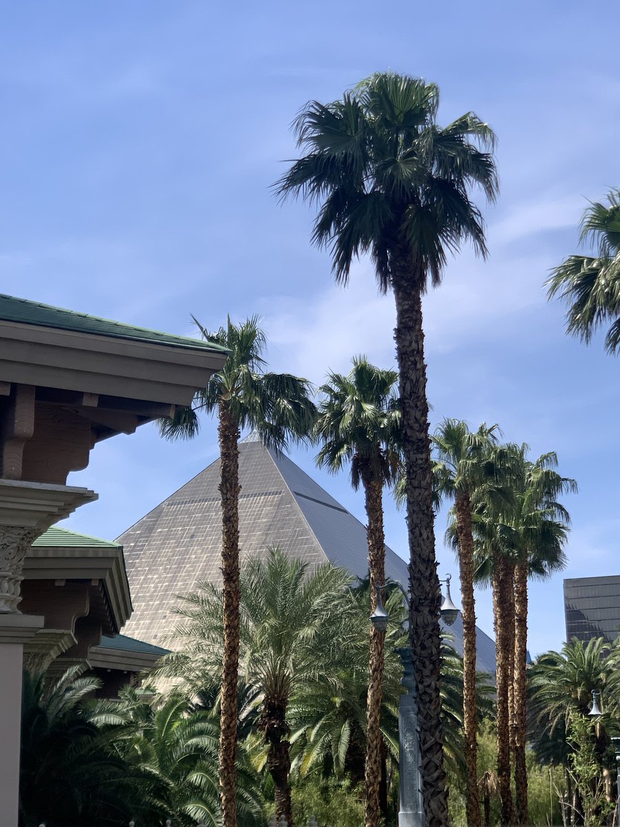 MelissaGottNC's tweet photo. We had quite the experience today: #mandalaybaylasvegas #aquarium, #luxorcasino, #CasaDiAmore where #sinatra used to eat, then over to #fremontstreet for the kids to ride #slotzillazipline. Fremont stunk of weed, so we left early &amp; got in the pool at #oasisrvresort. #gotttotravel https://t.co/temkyPROVj