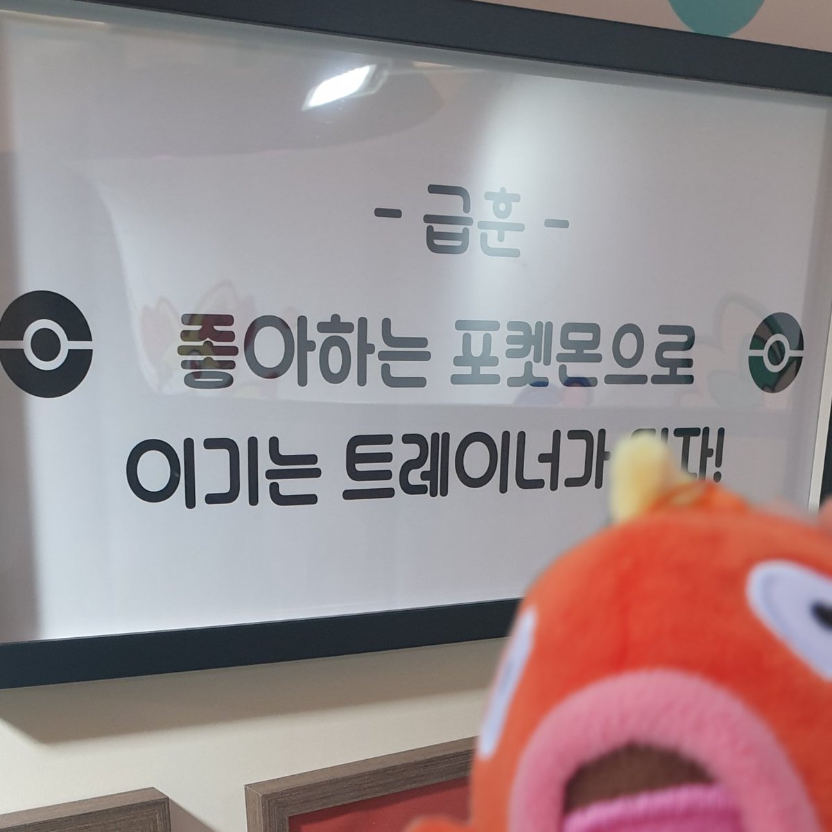 갸라도킹 (@gold_ingeoking) on Twitter photo 