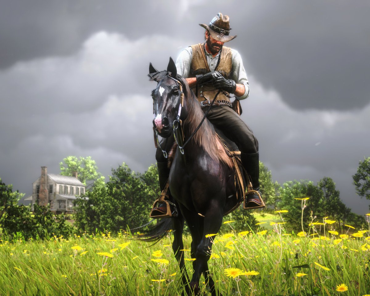 #RedDeadRedemption2