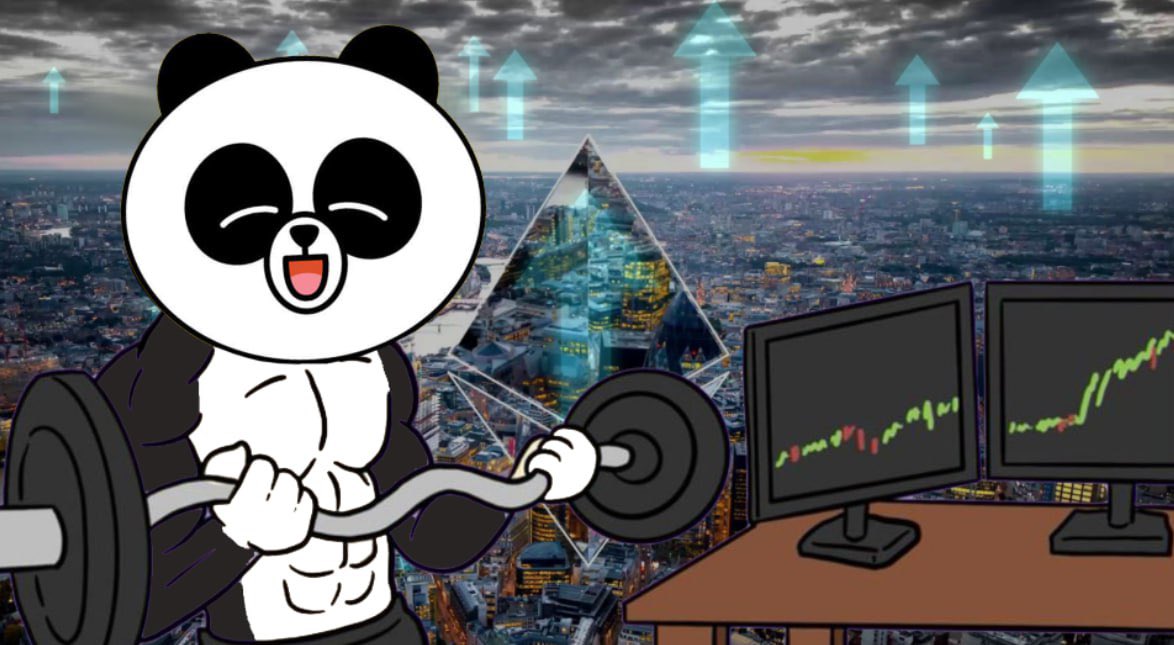 $PANGYO lives life at his own pace, and it’s kind of inspiring. Its time to pump it up 💹