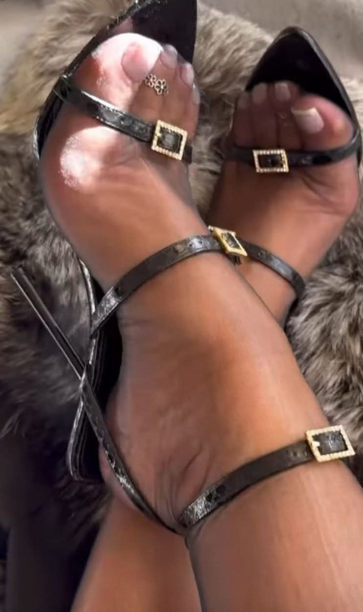 giorgio baraldi tweet media