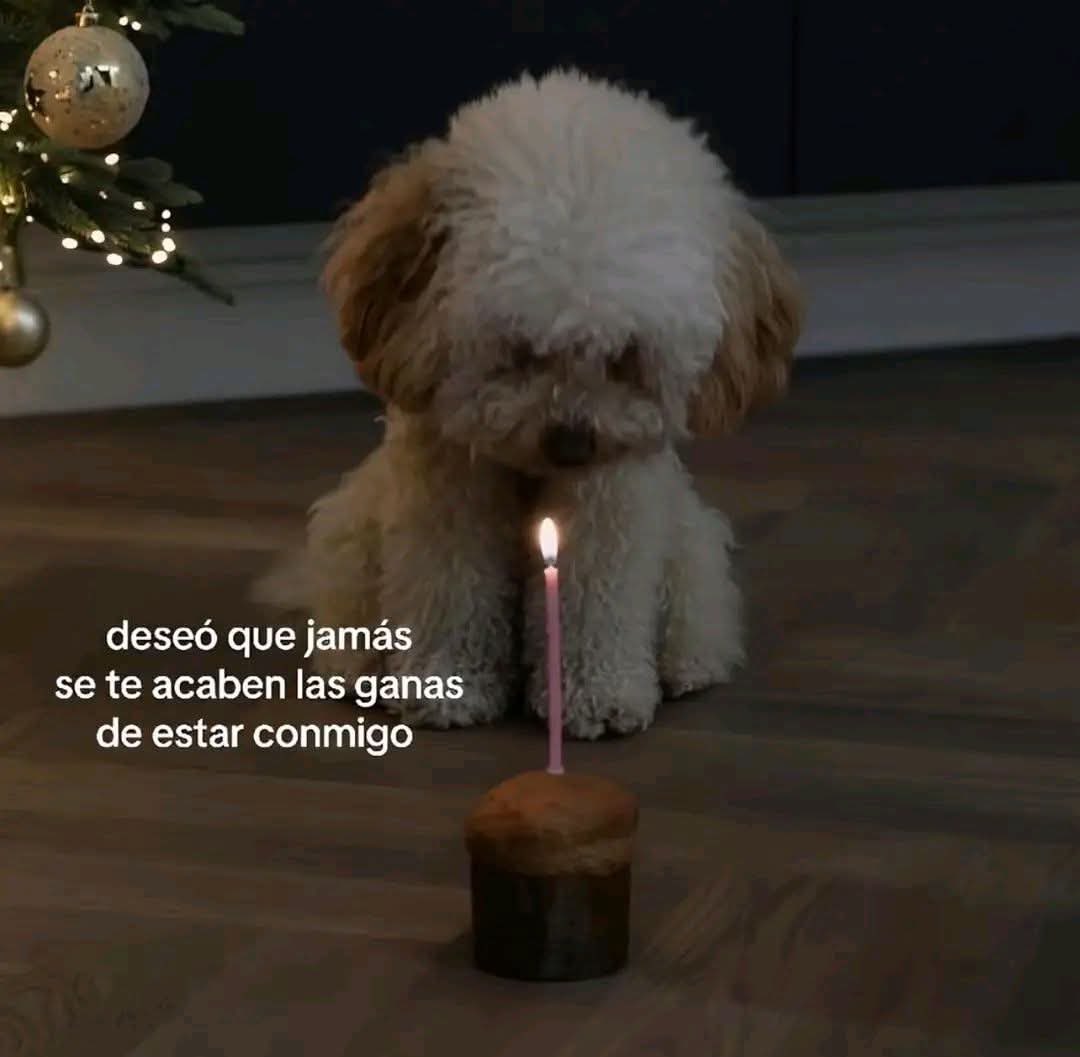 Mario 𝕏 tweet media