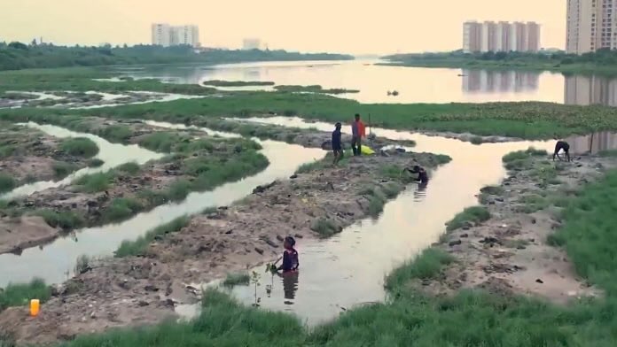 supriyasahuias's tweet photo. Once a sewage dump, Chennai’s Buckingham Canal is now home to thriving mangrove cluster https://t.co/4F5GrdRIJJ via @theprintindia https://t.co/eEj7PpCRnE