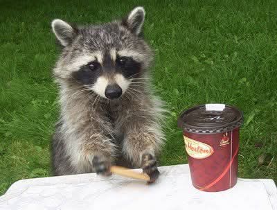 Good morning, have a great day