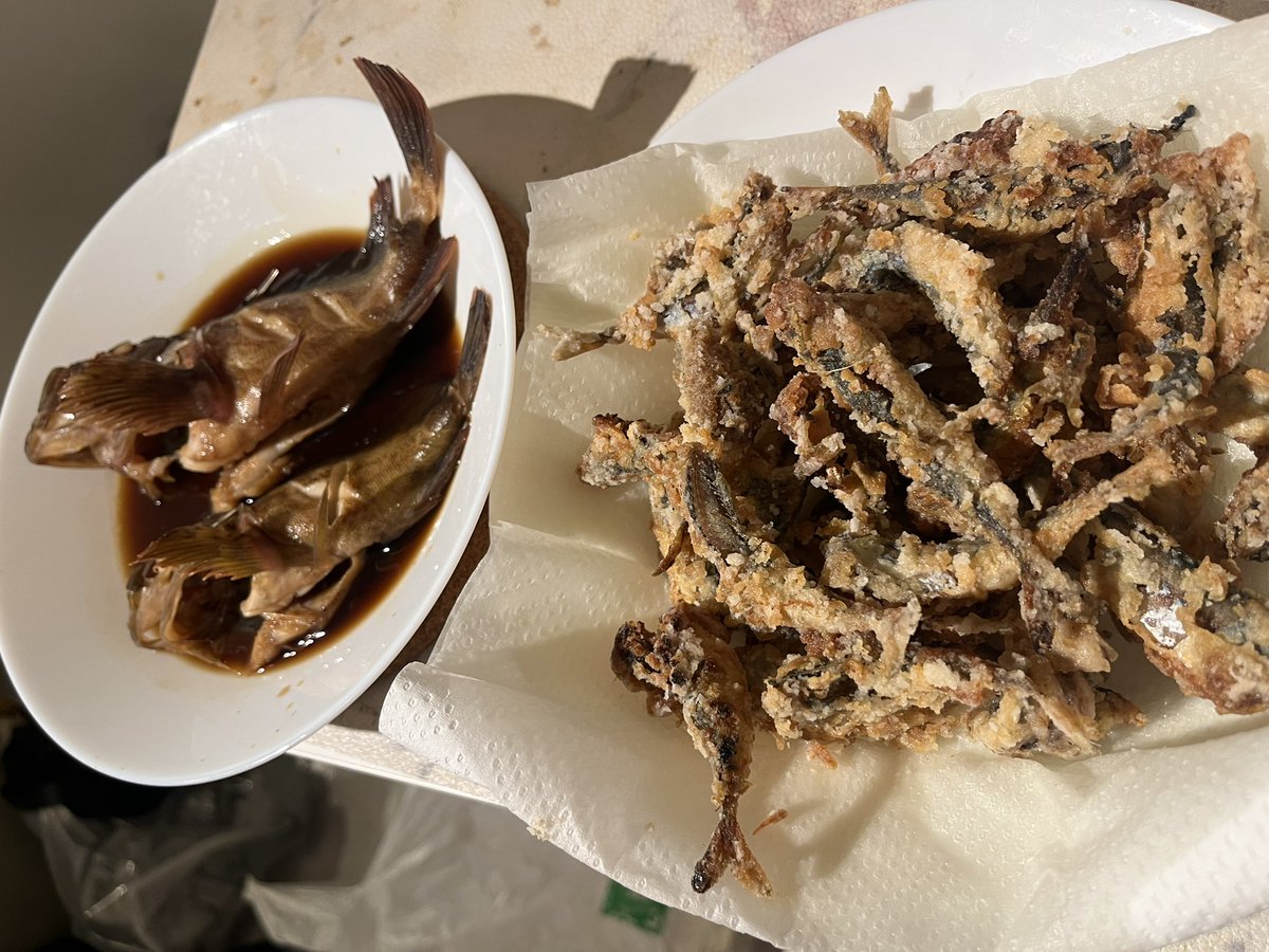 anfish_angler's tweet photo. 大磯港の小鯖とカサゴ https://t.co/s3EF2YASSa