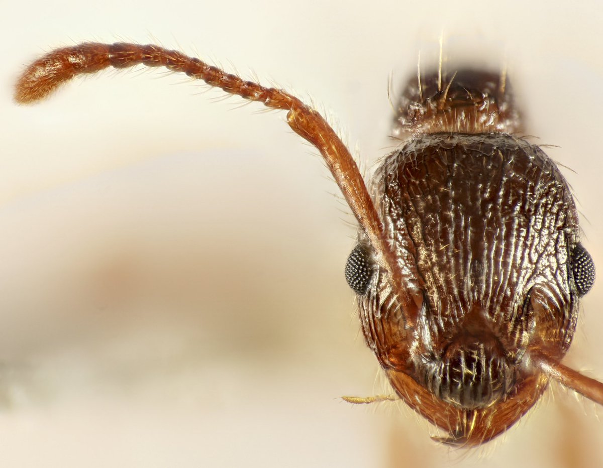 Hajime Sasaki tweet media