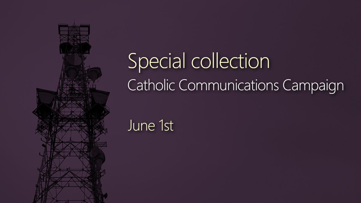 StKatesDrake's tweet image. 