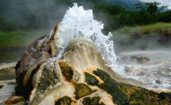new_era_safari's tweet photo. The Sempaya Hot springs are found in Semuliki NP in western Uganda. These amazing springs have high temperatures up to 100 degrees . The force, strength and hotness of this springs show the strength of the geographical forces underground. Explore the beauty of uganda  with us. https://t.co/3tPjNFuaVC