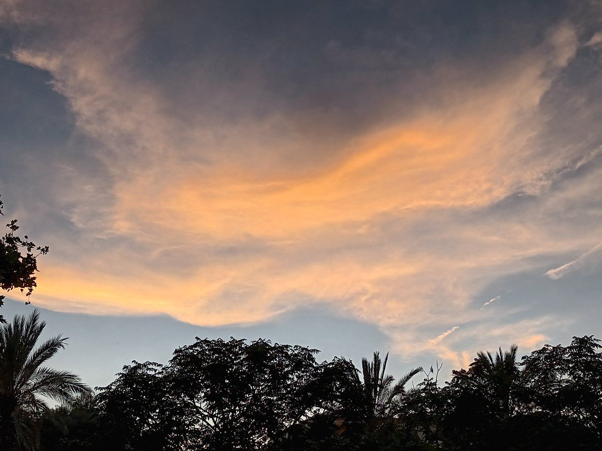 "He decidido quedarme con el amor. El odio es una carga demasiado pesada para soportarla".

Martin Luther King