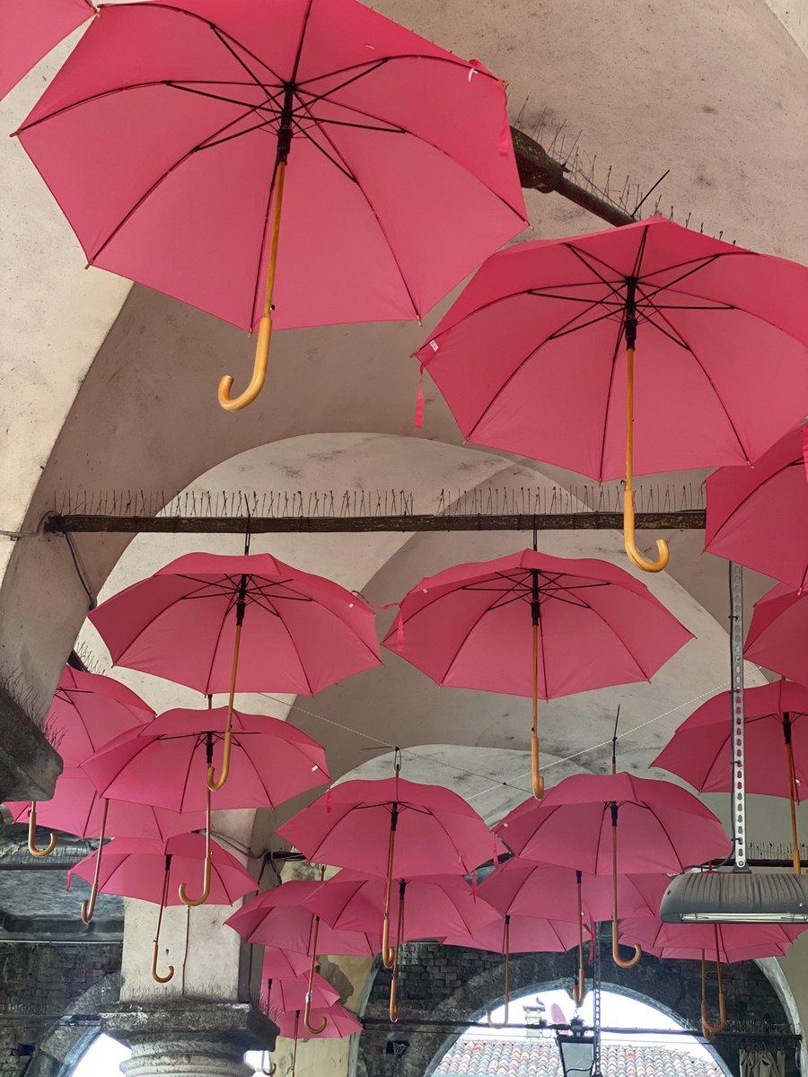 Vi aspettiamo venerdì 30 Maggio a Mirano ( VE) <a href="/girowomen/">Giro d'Italia Women</a> #giro