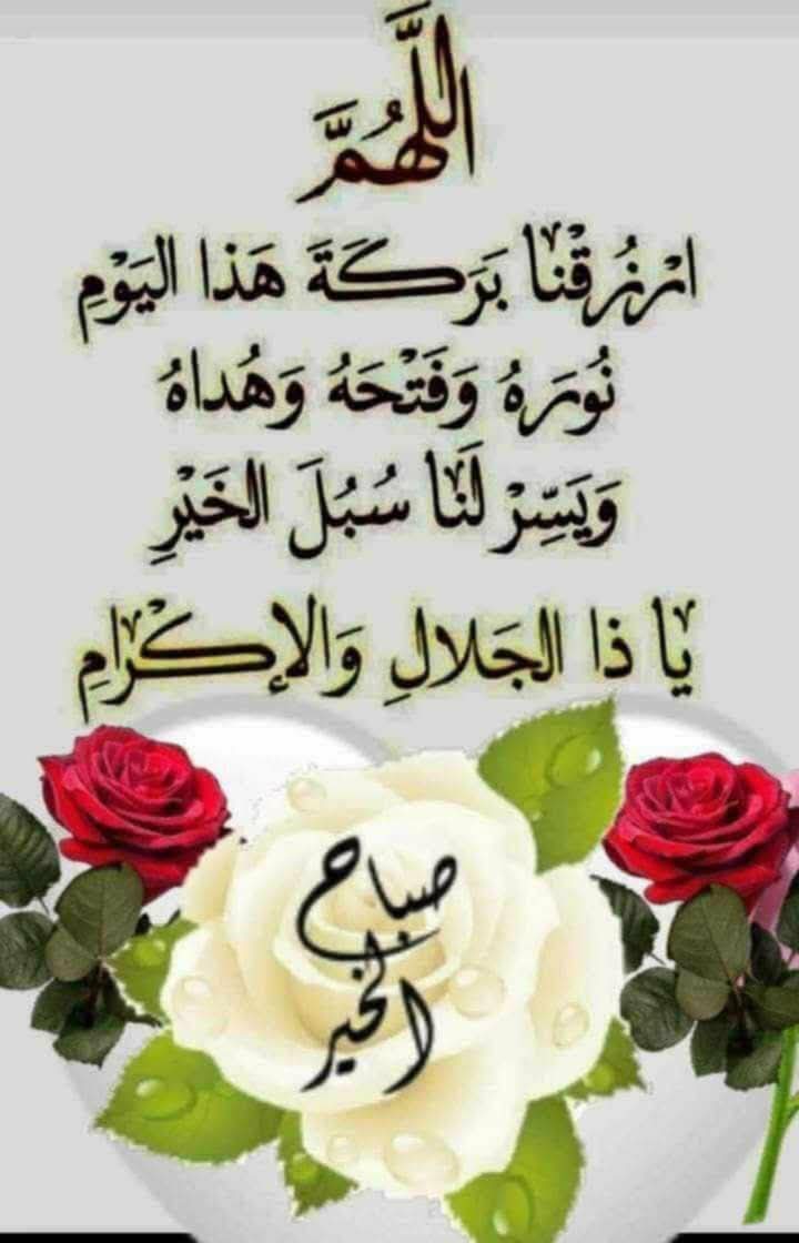 محمد منصور tweet media
