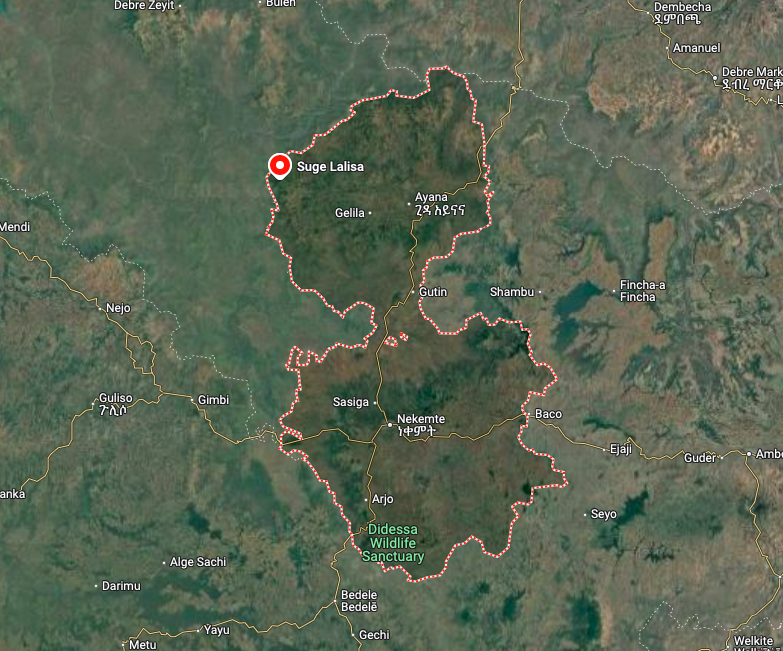 AmharaWarUpdate's tweet photo. ⚡️OLA militants kill at least 16 Amhara and Gumuz civilians on May 20 attack on Anger-Meti Kebele, Soge Woreda (📍East Wollega Zone, Oromia Region, Ethiopia). Network blackout imposed in East and Horo-Guduru Wollega Zones from May 19–22.

#Amhara_War_Updates https://t.co/RftghPDq89