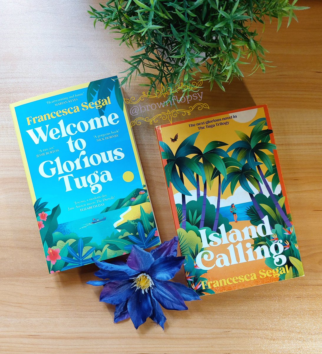 brownflopsy's tweet photo. Thank you @vintagebooks for this very pretty pair from the Tuga trilogy by Frances Segal - #WelcomeToGloriousTuga (out in pb 5th June) and #IslandCalling (out in hb 19th June).
I'm really looking forward to settling down with these uplifting gems! 🌺🤩 https://t.co/Tvg3sTHoWF