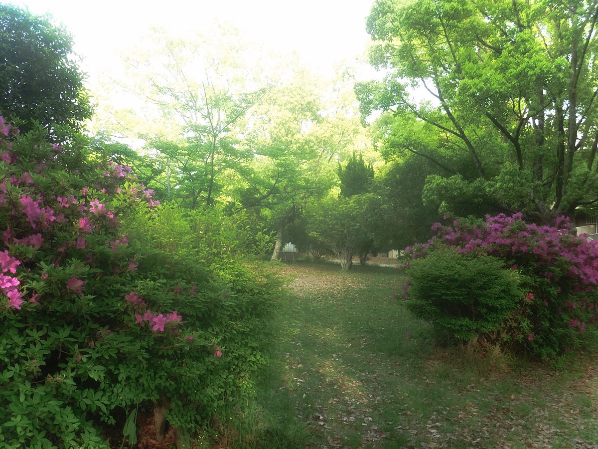 調子 (@nbfaqldnuvdcd0o) on Twitter photo 