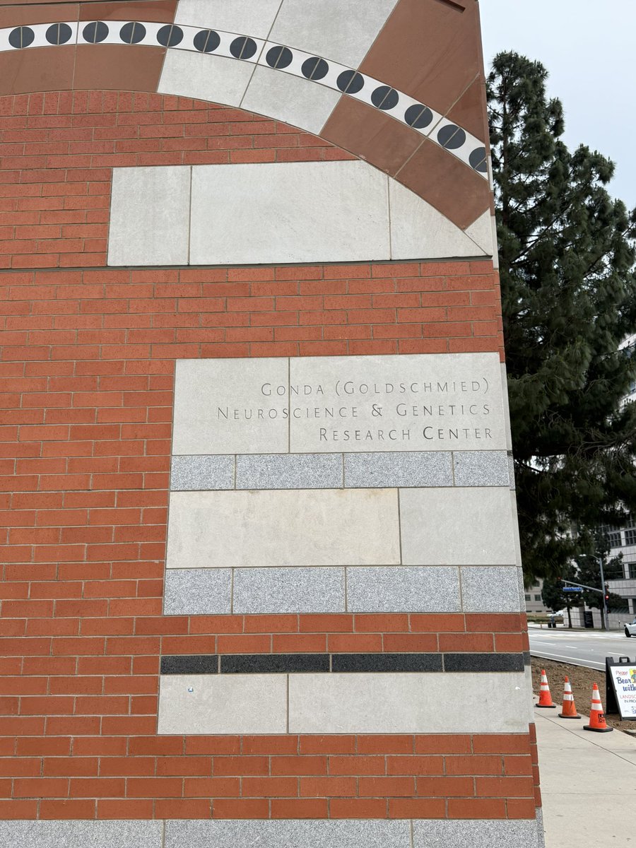 Both UCLA and UC Berkeley claim to have been ranked as the top public university for consecutive years. The rivalry between the Bruins and the Bears has been ongoing. Both are bears, but "Bruin" has a more cultural and exclusive connotation, while "Bear" is more straightforward.