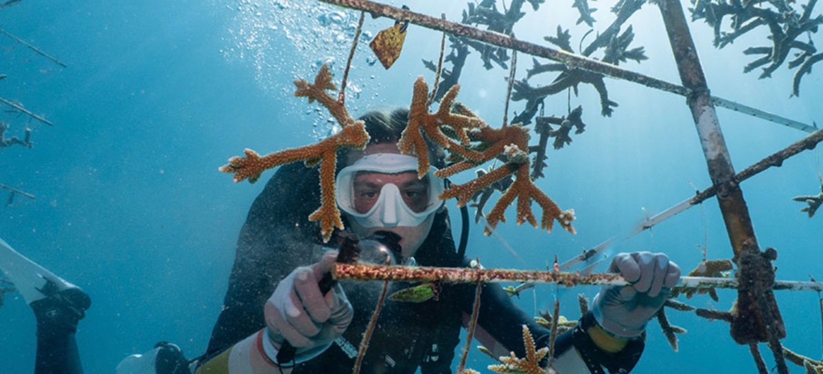 Debris Free Oceans tweet media