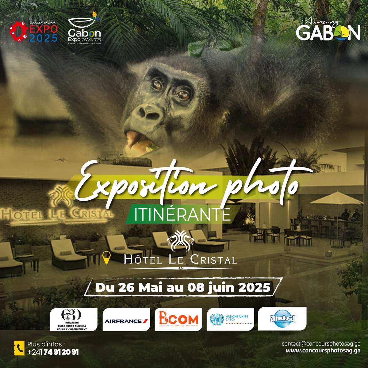 Exposition Photo -
AmazingGabon
Du 26 mai au 08 juin 2025 à Hôtel Le Cristal, Libreville La faune et la flore du Gabon capturées dans toute leur splendeur.
Entrée libre Ts les jours de 08h à 22h
#amazinggabon #gabon
#expophotoag #photo #concoursphotoag
#gabonphoto