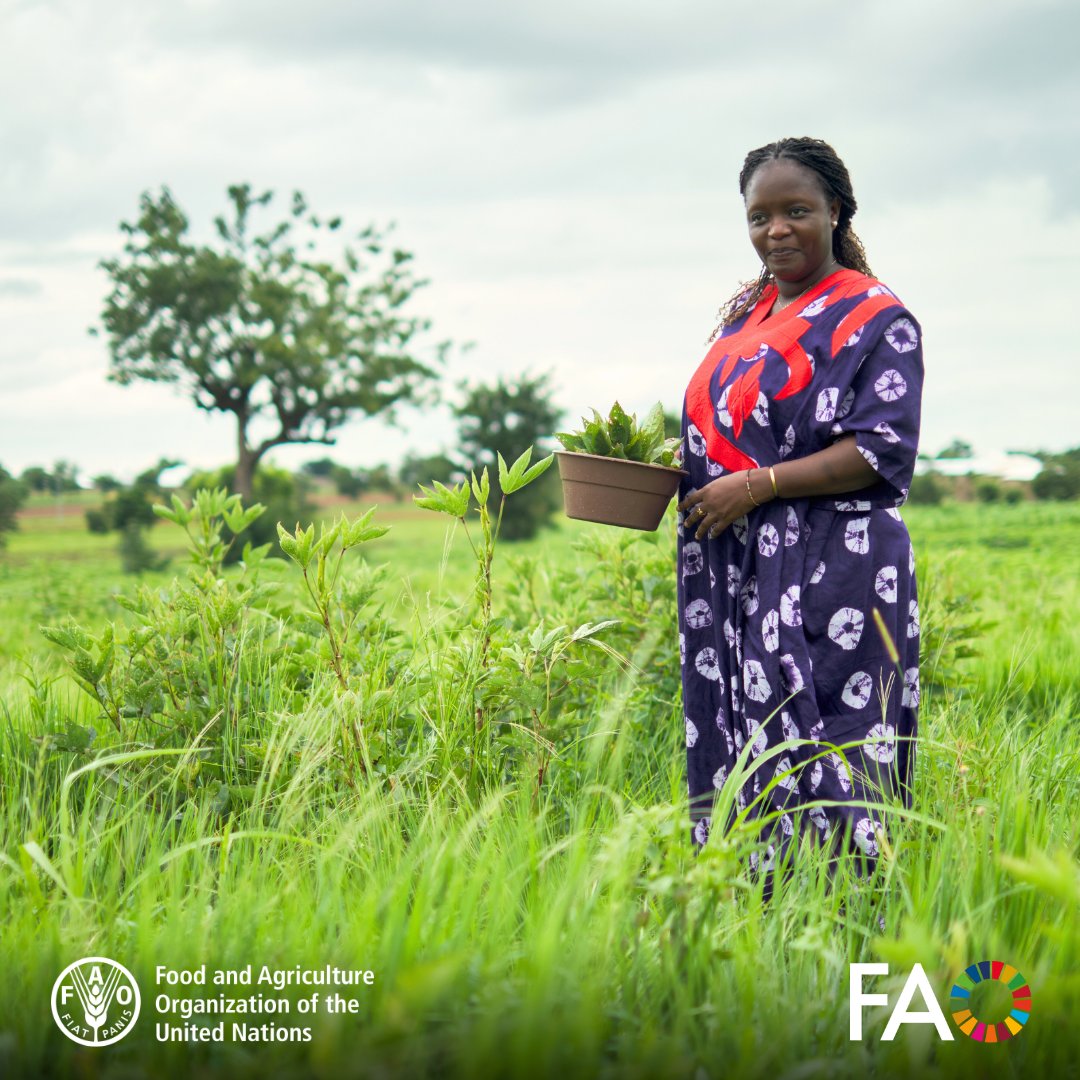 FAO AIMS (@faoaims) on Twitter photo ๐จ Today! Join the <a href="/FAO/">Food and Agriculture Organization</a> #AGRIS webinar!
๐๏ธ 27 May at 14:00 CEST and learn how to improve your metadata, ensure OAI-PMH compliance, and increase the visibility of your agricultural research.
๐ Register now: fao.zoom.us/meeting/registโฆ
#OpenScience #Metadata #Agriculture ๐จ Today! Join the <a href="/FAO/">Food and Agriculture Organization</a> #AGRIS webinar!
๐๏ธ 27 May at 14:00 CEST and learn how to improve your metadata, ensure OAI-PMH compliance, and increase the visibility of your agricultural research.
๐ Register now: fao.zoom.us/meeting/registโฆ
#OpenScience #Metadata #Agriculture