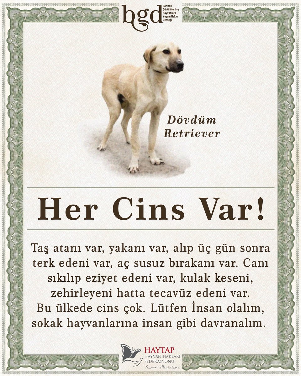 Her Cins Var!