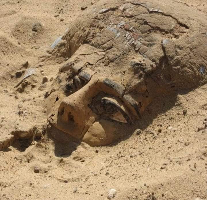 In 2020, a wooden sarcophagus emerges from the sand at Abydos; during archaeological excavations, after spending more than three Millennia, below the surface of the Egyptian plateau :

In a breathtaking discovery that bridges the chasm between ancient civilizations and the modern