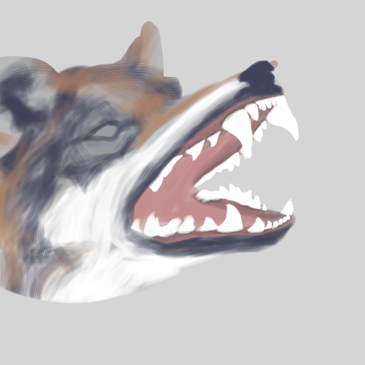 Wip

#furry #wolf