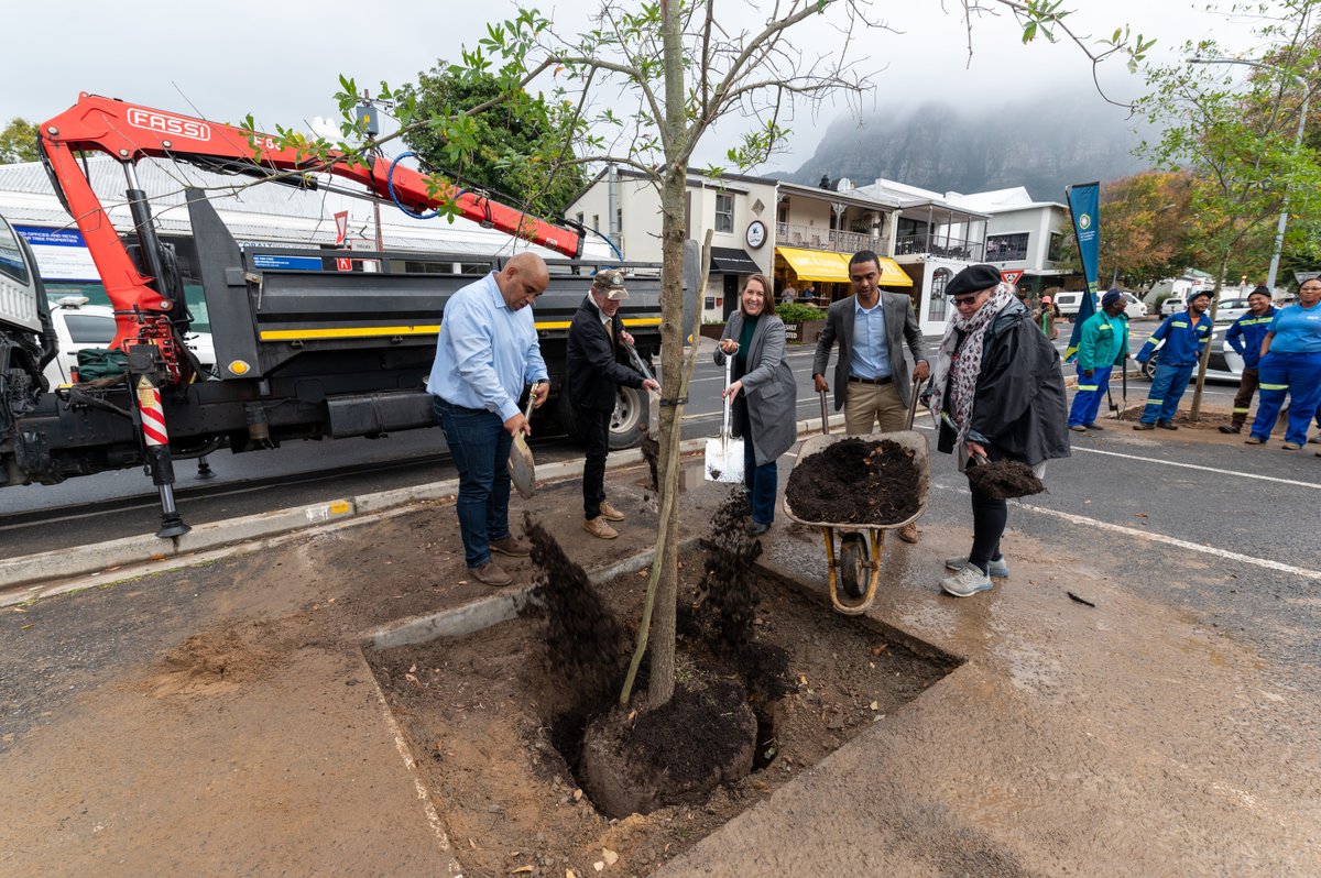 CityofCT's tweet photo. Kildare Circle in Newlands is blooming again as five new trees replace those lost to PSHB infestation. The City led a multi-department effort to restore the area’s greenery and more.
Read more: https://t.co/HQSwo0RYlD
#SpatialPlanningAndEnvironment #CommunityServicesAndHealth https://t.co/TmDX4udM86
