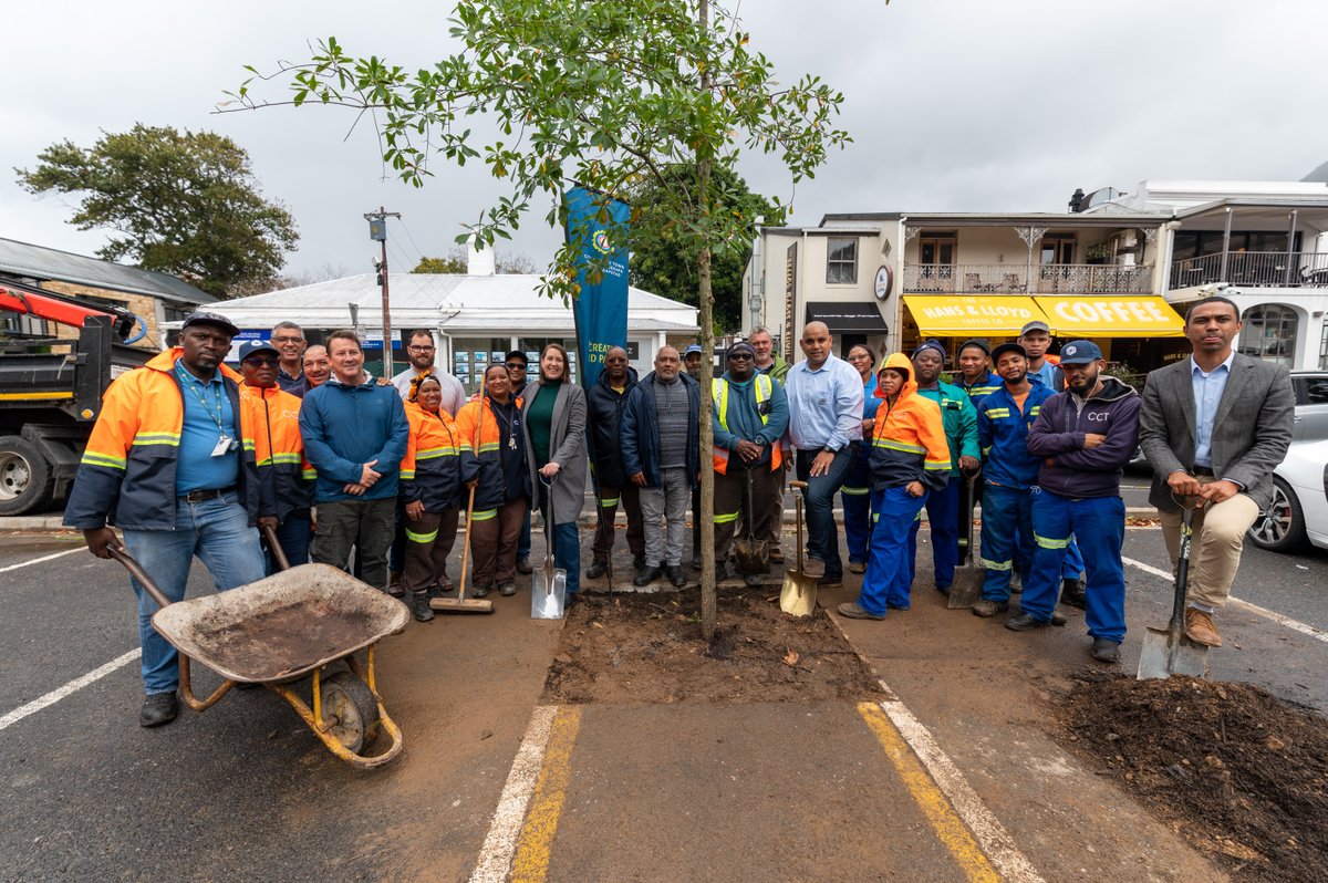 CityofCT's tweet photo. Kildare Circle in Newlands is blooming again as five new trees replace those lost to PSHB infestation. The City led a multi-department effort to restore the area’s greenery and more.
Read more: https://t.co/HQSwo0RYlD
#SpatialPlanningAndEnvironment #CommunityServicesAndHealth https://t.co/TmDX4udM86