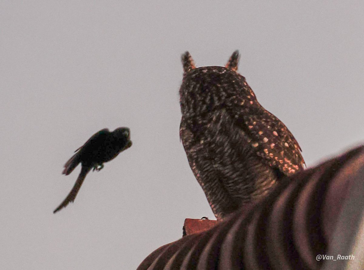 Check out the latest article in my newsletter: 4 Tips to Future-Proof Your Recruiting Career with AI &amp;amp; Grit linkedin.com/pulse/4-tips-f… #recruitment #ai