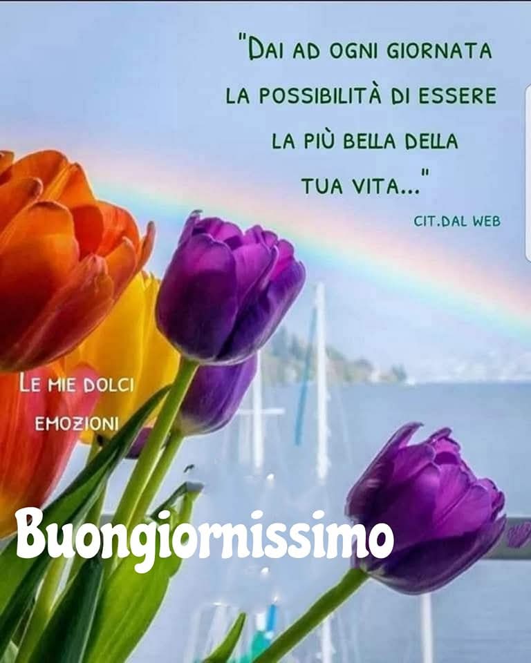 Marianna tweet media