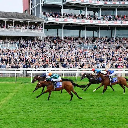🚨 COMPETITION TIME! 

🎟️ We have a pair of County badges to give away for a strong card and great day out at York this Saturday.

🔁 To win, repost this message and make sure you're following <a href="/yorkracecourse/">York Racecourse</a> and <a href="/RacingTV/">Racing TV</a>!