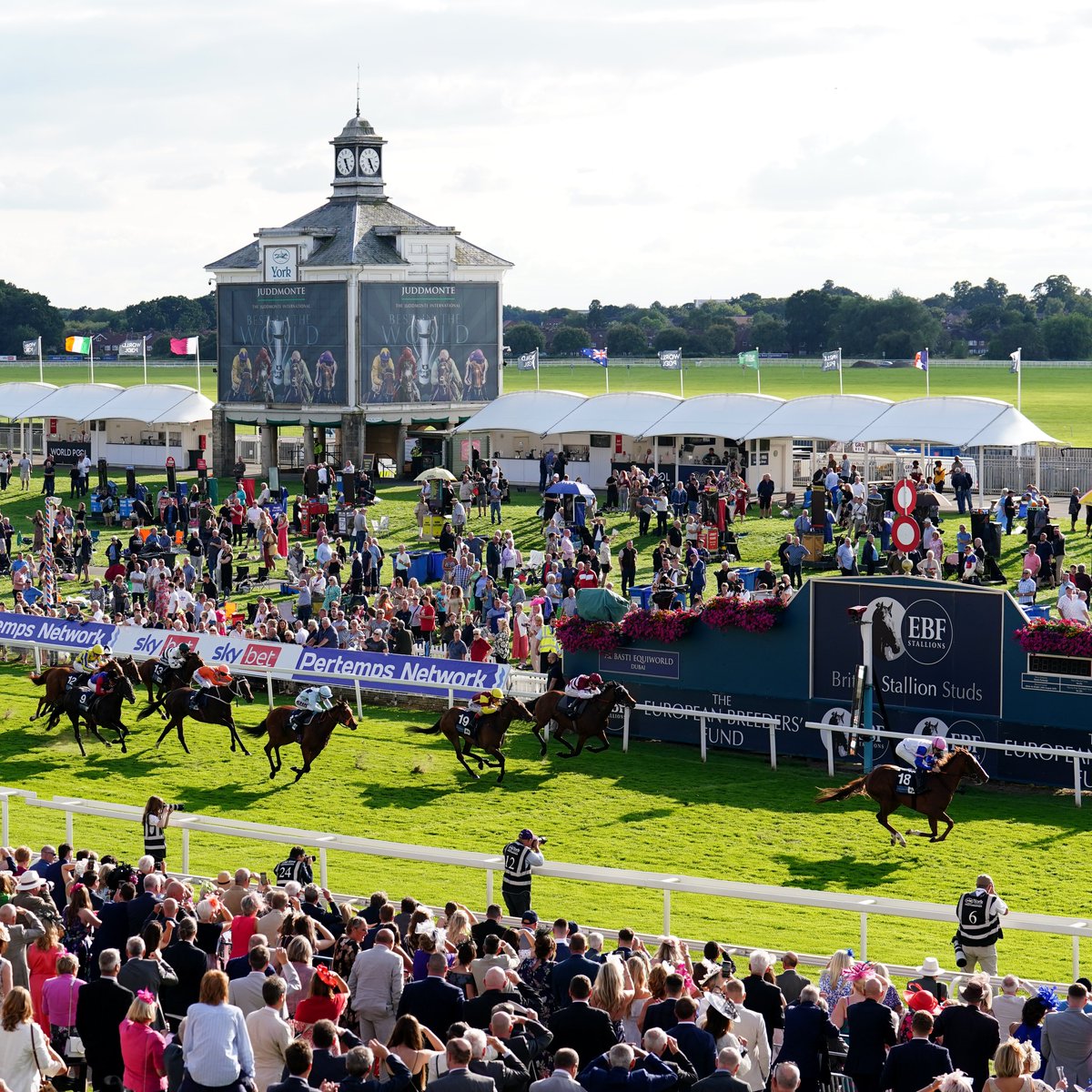 RacingTV's tweet image. 🚨 COMPETITION TIME! 

🎟️ We have a pair of County badges to give away for a strong card and great day out at York this Saturday.

🔁 To win, repost this message and make sure you're following @yorkracecourse and @RacingTV!