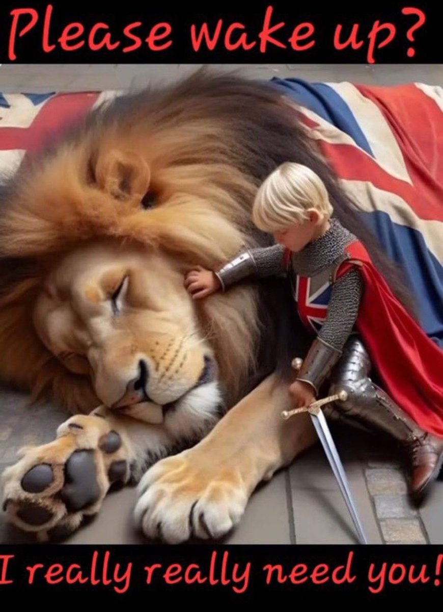 <a href="/TRobinsonNewEra/">Tommy Robinson 🇬🇧</a>