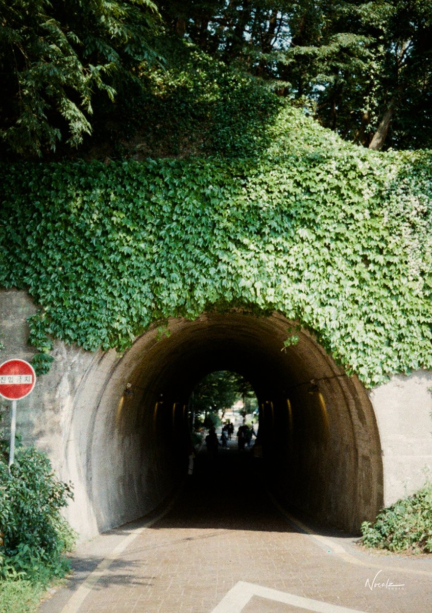 Jeonju, South Korea in film: 
Lomochrome Color 92' 
#heylomography
