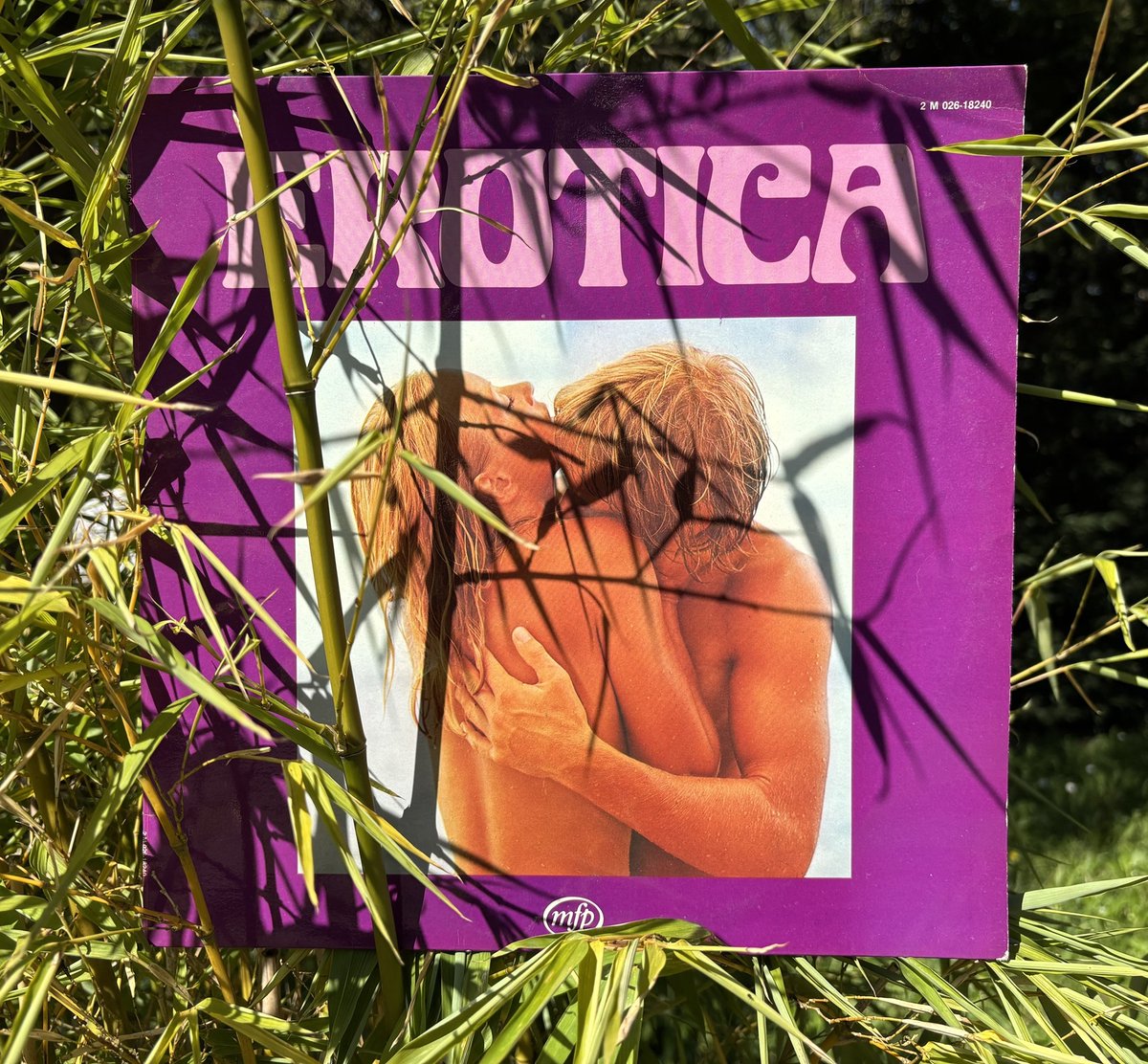 🎧 #frenchgroove #pop #easylistening #coversong #vinyl 
🦥 V/A "Erotica" LP 1977 Music for Pleasure
je t'aime... moi non plus👉youtu.be/CTyADz3q97M?si…
Laure👉youtu.be/CTyADz3q97M?si…