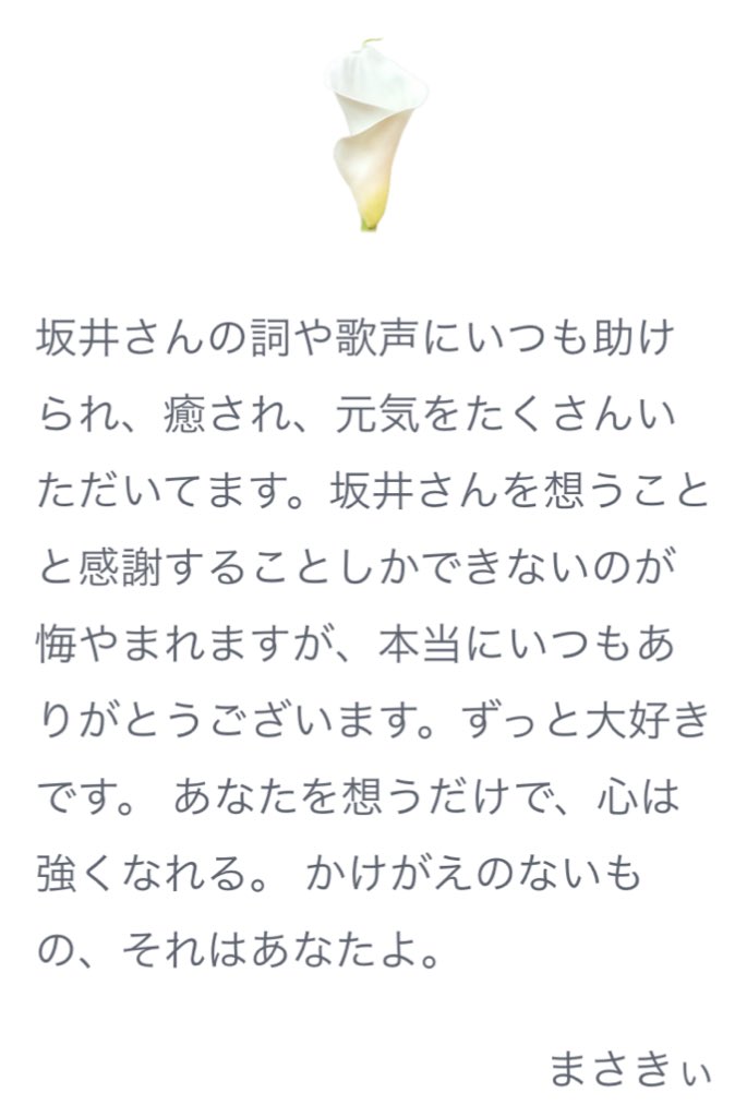まさきぃ🦔🧸🌟 tweet media