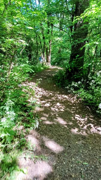 Be Active Beds tweet media