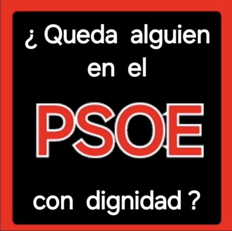 👉NO!!!!!
¿ Qué opináis?