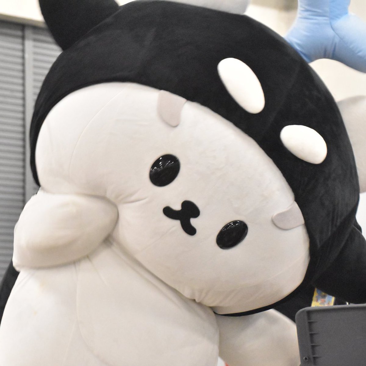 dotpng_'s tweet photo. เด็กหญิงโดดถีบขาคู่
                                            เด็กชายแบ๊วจิ้มแก้ม

มันยังไงงงง5555555555555555555 https://t.co/5eZ4KpZNpp