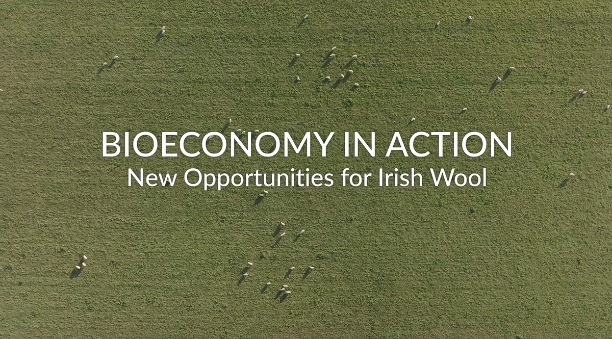 Once a staple material in homes across Ireland, wool has been overtaken by synthetic alternatives - but the bioeconomy is changing this. Dooleys  Wool is producing a variety of new &amp; more sustainable wool products.

Watch here: youtu.pulse.ly/xwxvpci2lv
