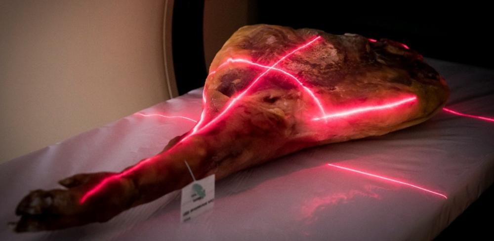 🥩 Innovació i seguretat en la indústria càrnia: dues estratègies per a productes més saludables i segurs

Els dos projectes pilots busquen millorar la seguretat dels embotits curats a través de metodologies avançades i innovadores

ow.ly/ulgv50VXyTo