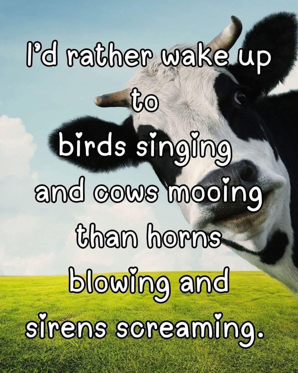 The Bowler Hat Farmer (@markbyford27982) on Twitter photo 
